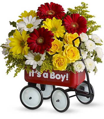 Baby's Wow Wagon by Teleflora from Scott's House of Flowers in Lawton, OK